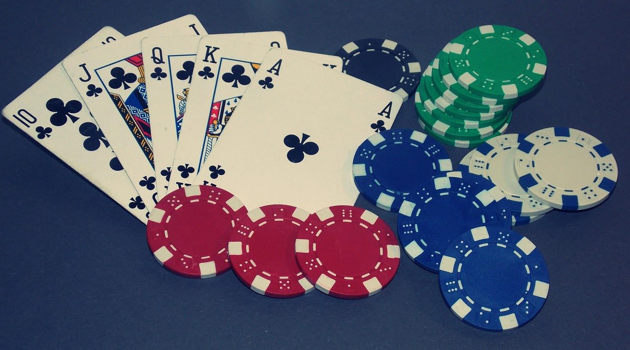 spinngo