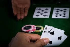 spinngo